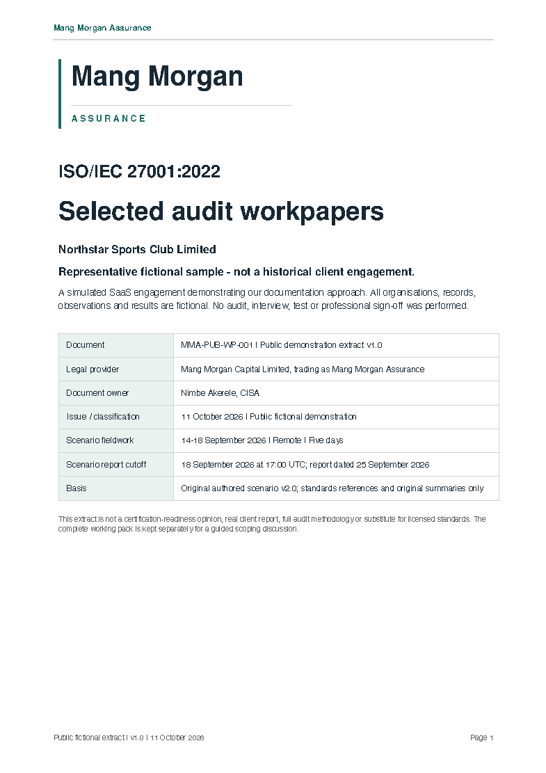 Preview of the fictional workpapers
